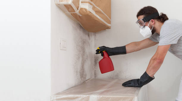 Professional Crawl Space Mold Remediation technician working in Decatur, MI